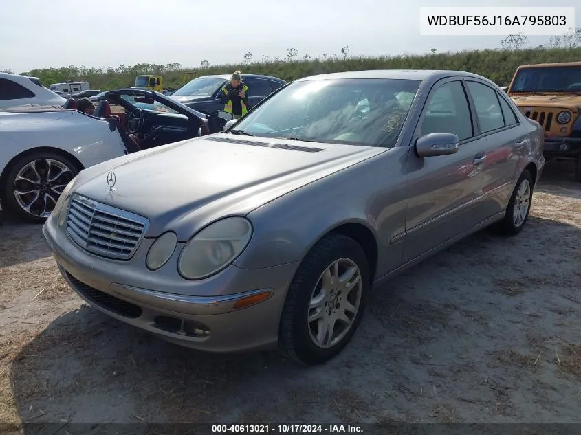 2006 Mercedes-Benz E 350 VIN: WDBUF56J16A795803 Lot: 40613021