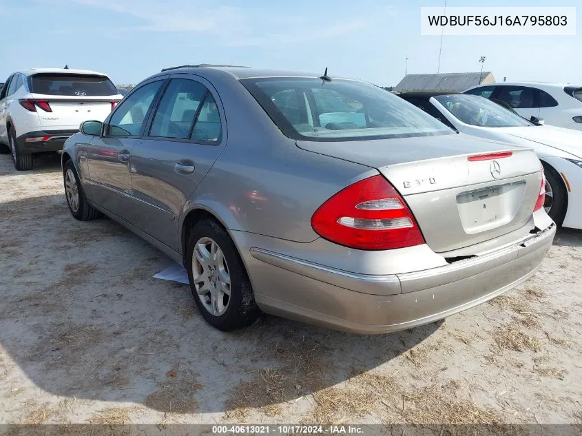 2006 Mercedes-Benz E 350 VIN: WDBUF56J16A795803 Lot: 40613021