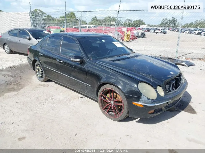 2006 Mercedes-Benz E 350 VIN: WDBUF56J36A980175 Lot: 40756064