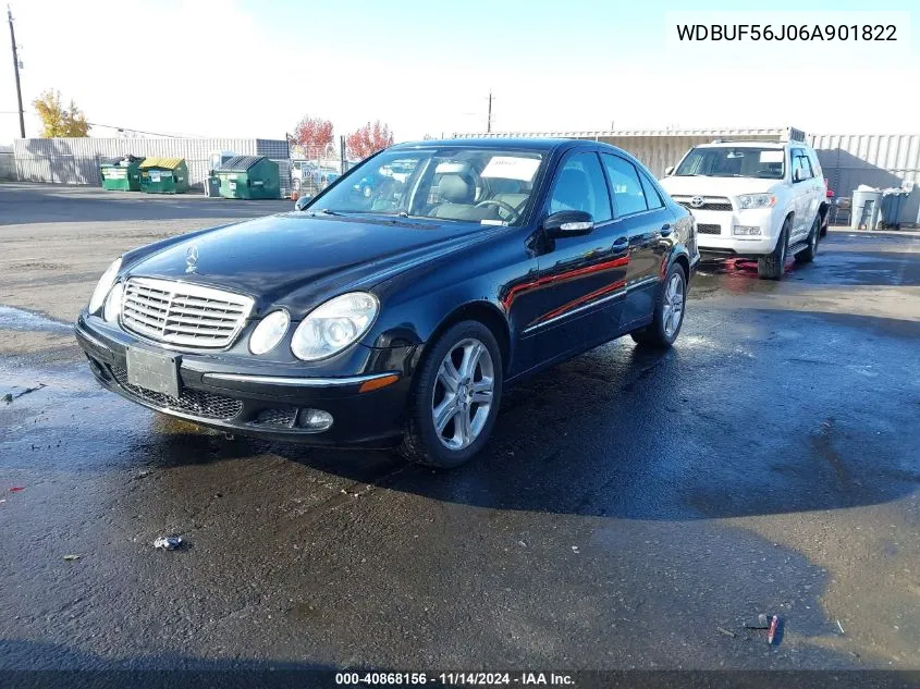 2006 Mercedes-Benz E 350 VIN: WDBUF56J06A901822 Lot: 40868156