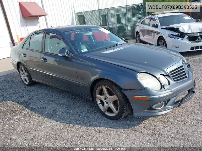 2009 Mercedes-Benz E 350 4Matic VIN: WDBUF87X89B390525 Lot: 40214636