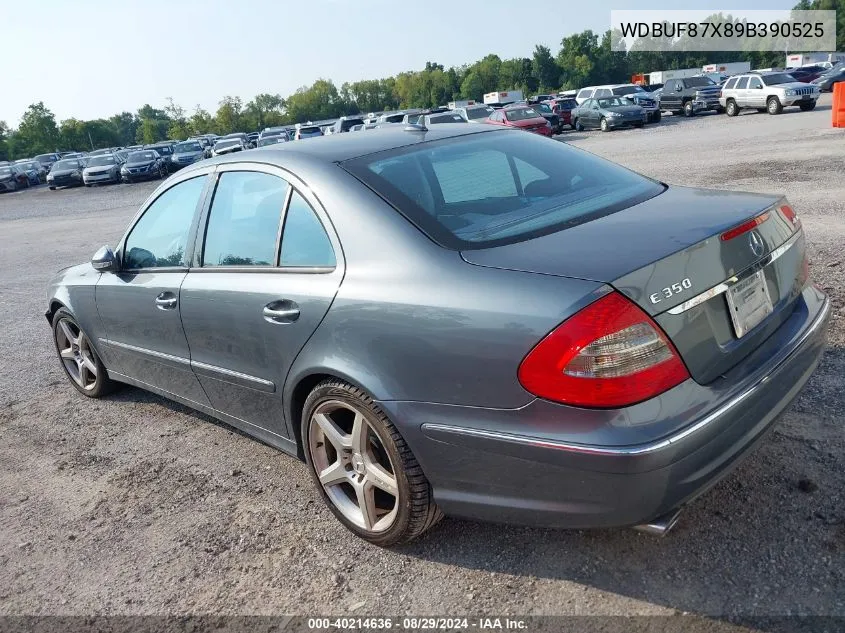 2009 Mercedes-Benz E 350 4Matic VIN: WDBUF87X89B390525 Lot: 40214636