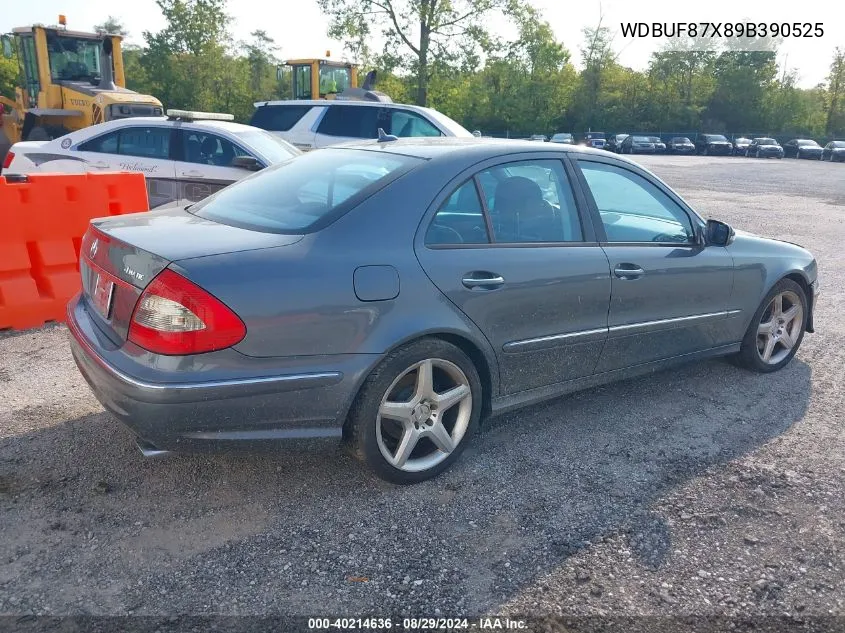 2009 Mercedes-Benz E 350 4Matic VIN: WDBUF87X89B390525 Lot: 40214636