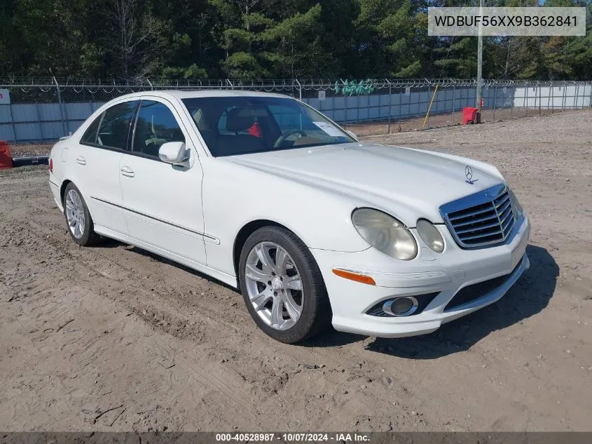 2009 Mercedes-Benz E 350 VIN: WDBUF56XX9B362841 Lot: 40528987