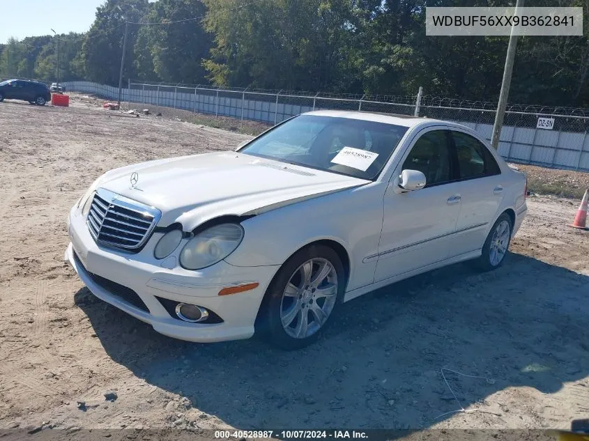 2009 Mercedes-Benz E 350 VIN: WDBUF56XX9B362841 Lot: 40528987