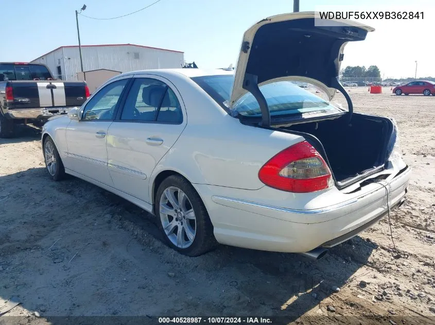 2009 Mercedes-Benz E 350 VIN: WDBUF56XX9B362841 Lot: 40528987