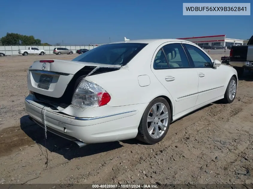 2009 Mercedes-Benz E 350 VIN: WDBUF56XX9B362841 Lot: 40528987