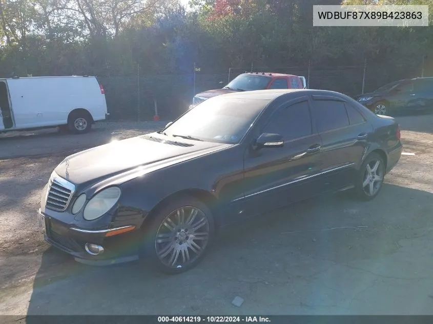 2009 Mercedes-Benz E 350 4Matic VIN: WDBUF87X89B423863 Lot: 40614219