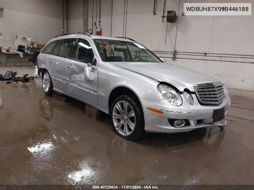 2009 Mercedes-Benz E 350 4Matic VIN: WDBUH87X99B446188 Lot: 40729834