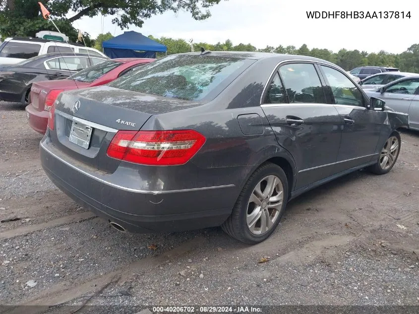 2010 Mercedes-Benz E 350 4Matic VIN: WDDHF8HB3AA137814 Lot: 40206702