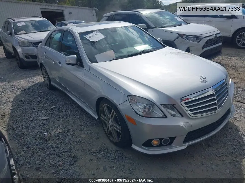 2010 Mercedes-Benz E 350 VIN: WDDHF5GB4AA217333 Lot: 40380467