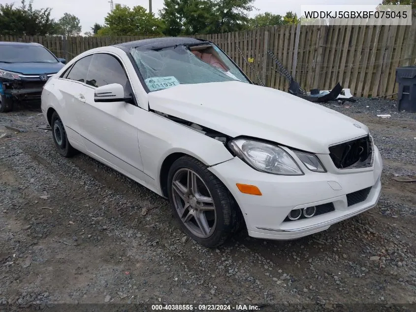 2011 Mercedes-Benz E 350 VIN: WDDKJ5GBXBF075045 Lot: 40388555