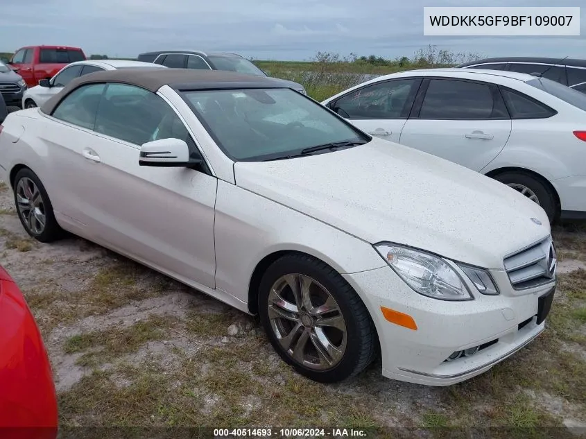 2011 Mercedes-Benz E 350 VIN: WDDKK5GF9BF109007 Lot: 40514693