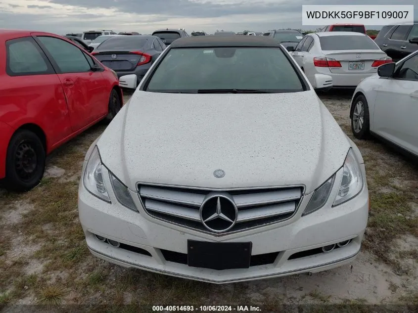 2011 Mercedes-Benz E 350 VIN: WDDKK5GF9BF109007 Lot: 40514693