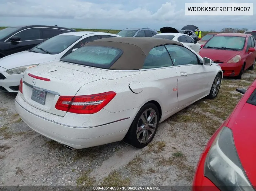 2011 Mercedes-Benz E 350 VIN: WDDKK5GF9BF109007 Lot: 40514693