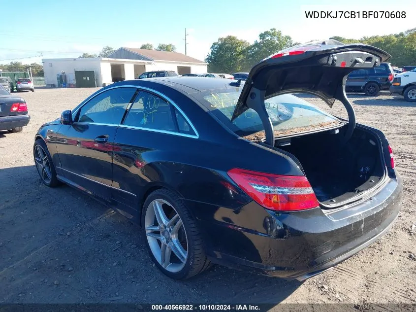 2011 Mercedes-Benz E 550 VIN: WDDKJ7CB1BF070608 Lot: 40566922