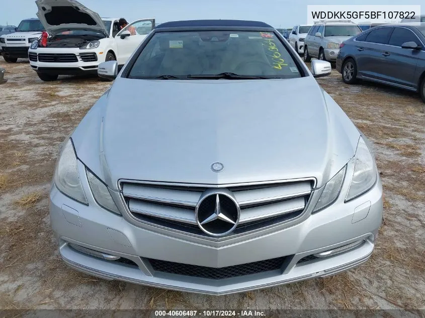 2011 Mercedes-Benz E 350 VIN: WDDKK5GF5BF107822 Lot: 40606487