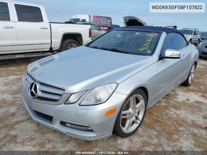 2011 Mercedes-Benz E 350 VIN: WDDKK5GF5BF107822 Lot: 40606487