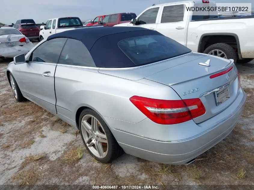 2011 Mercedes-Benz E 350 VIN: WDDKK5GF5BF107822 Lot: 40606487