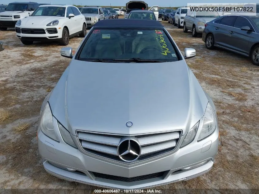 2011 Mercedes-Benz E 350 VIN: WDDKK5GF5BF107822 Lot: 40606487