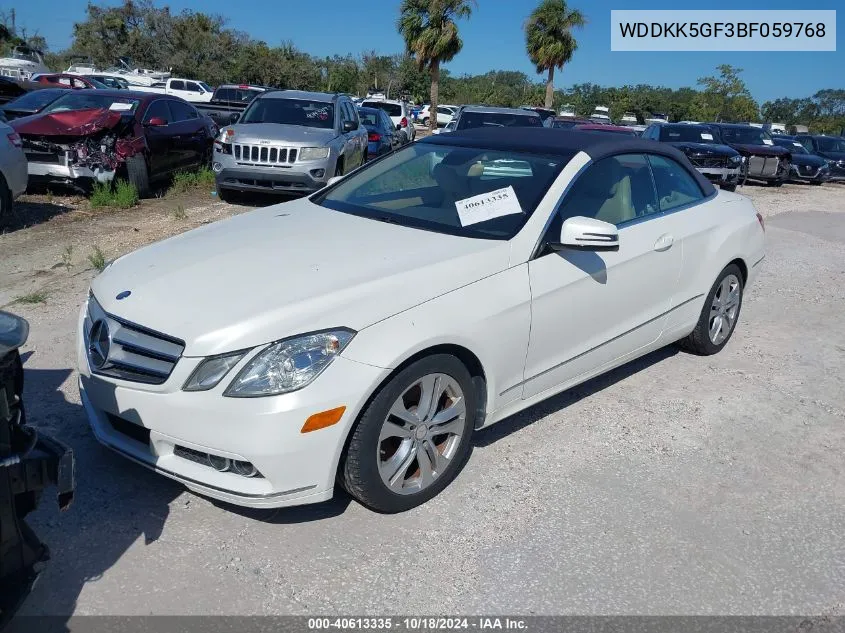 2011 Mercedes-Benz E 350 VIN: WDDKK5GF3BF059768 Lot: 40613335