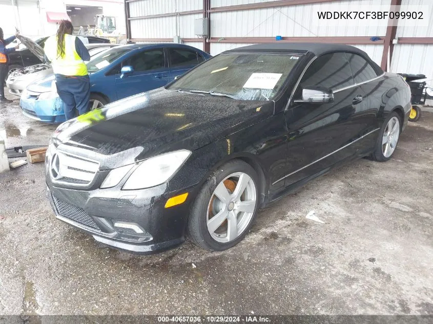 2011 Mercedes-Benz E 550 VIN: WDDKK7CF3BF099902 Lot: 40657036