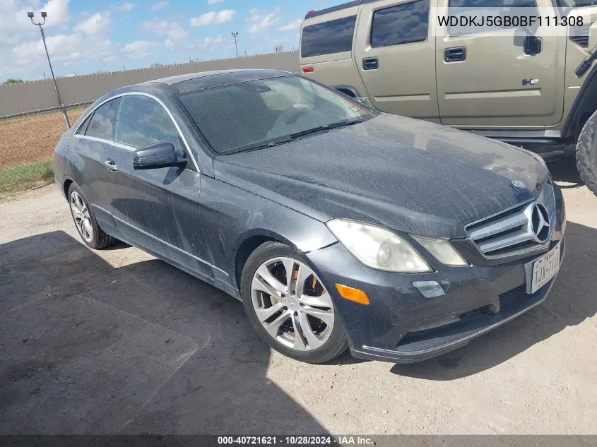 2011 Mercedes-Benz E 350 VIN: WDDKJ5GB0BF111308 Lot: 40721621