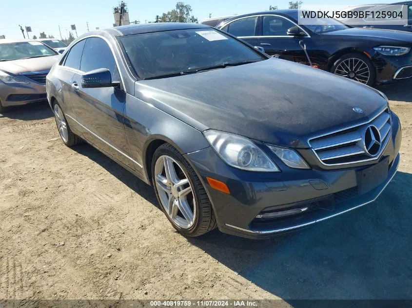 2011 Mercedes-Benz E 350 VIN: WDDKJ5GB9BF125904 Lot: 40819759