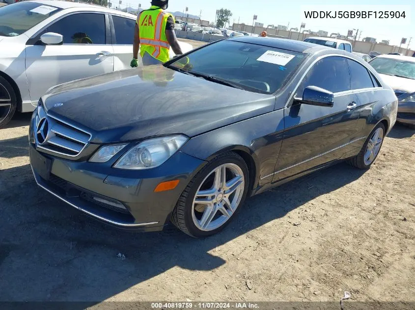 2011 Mercedes-Benz E 350 VIN: WDDKJ5GB9BF125904 Lot: 40819759