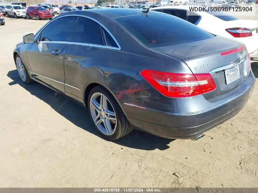 2011 Mercedes-Benz E 350 VIN: WDDKJ5GB9BF125904 Lot: 40819759