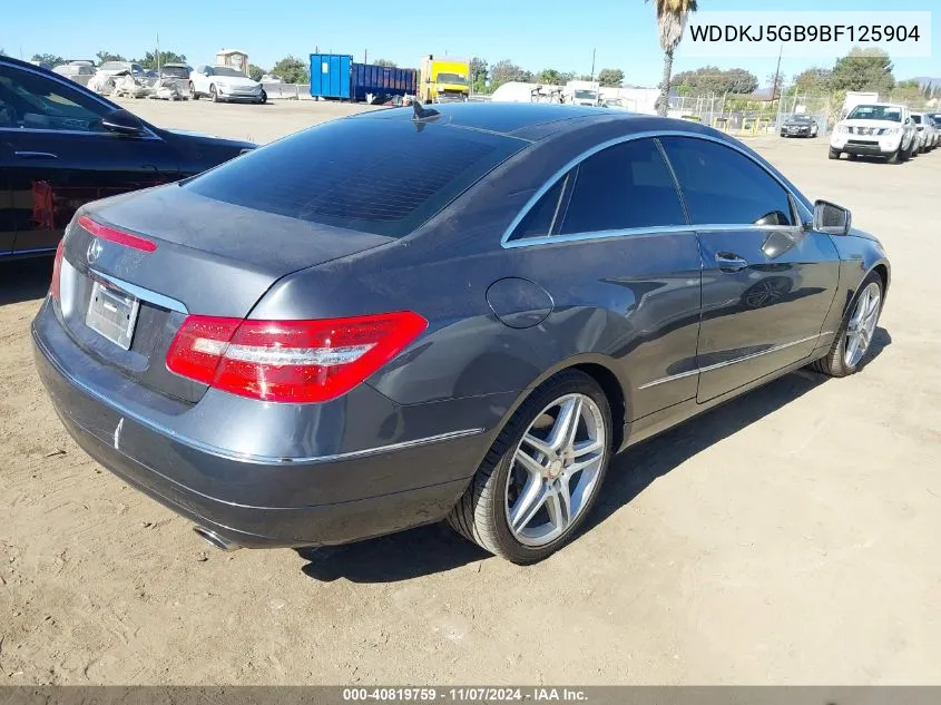 2011 Mercedes-Benz E 350 VIN: WDDKJ5GB9BF125904 Lot: 40819759