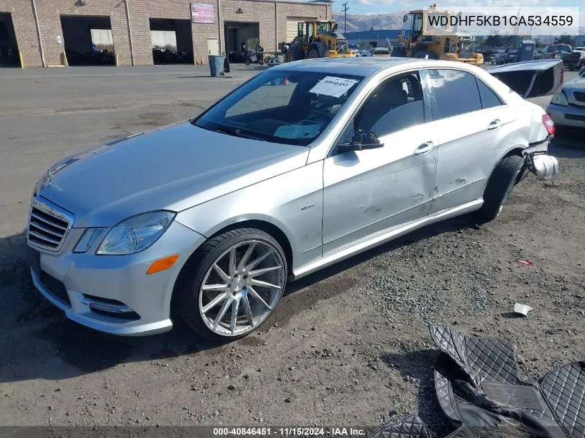 2012 Mercedes-Benz E 350 VIN: WDDHF5KB1CA534559 Lot: 40846451