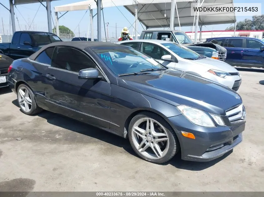 2013 Mercedes-Benz E 350 VIN: WDDKK5KF0DF215453 Lot: 40233675