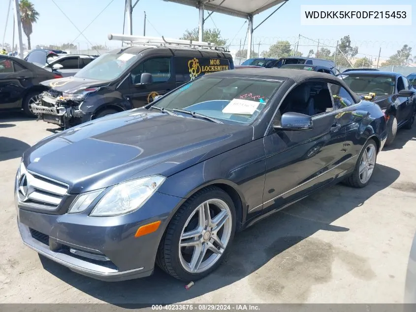 2013 Mercedes-Benz E 350 VIN: WDDKK5KF0DF215453 Lot: 40233675