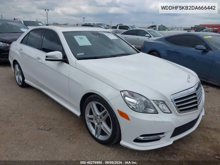 2013 Mercedes-Benz E 350 VIN: WDDHF5KB2DA666442 Lot: 40276985