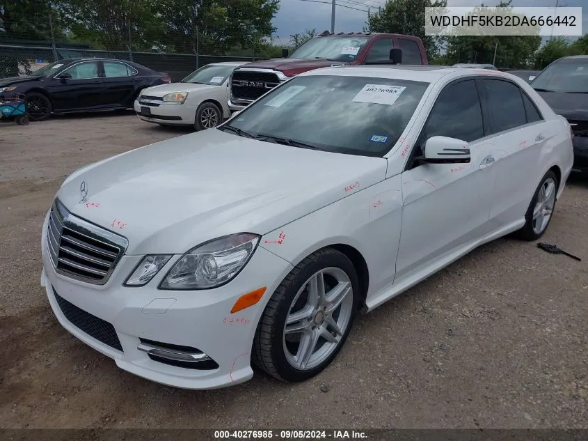 2013 Mercedes-Benz E 350 VIN: WDDHF5KB2DA666442 Lot: 40276985