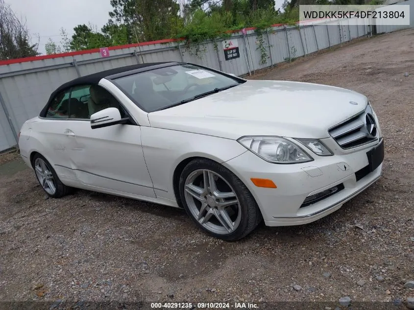 2013 Mercedes-Benz E 350 VIN: WDDKK5KF4DF213804 Lot: 40291235