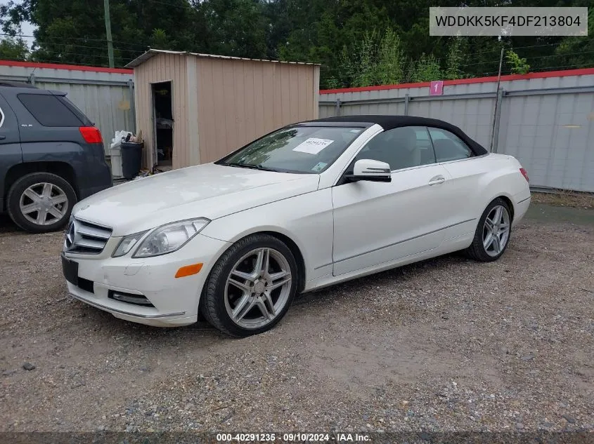 2013 Mercedes-Benz E 350 VIN: WDDKK5KF4DF213804 Lot: 40291235