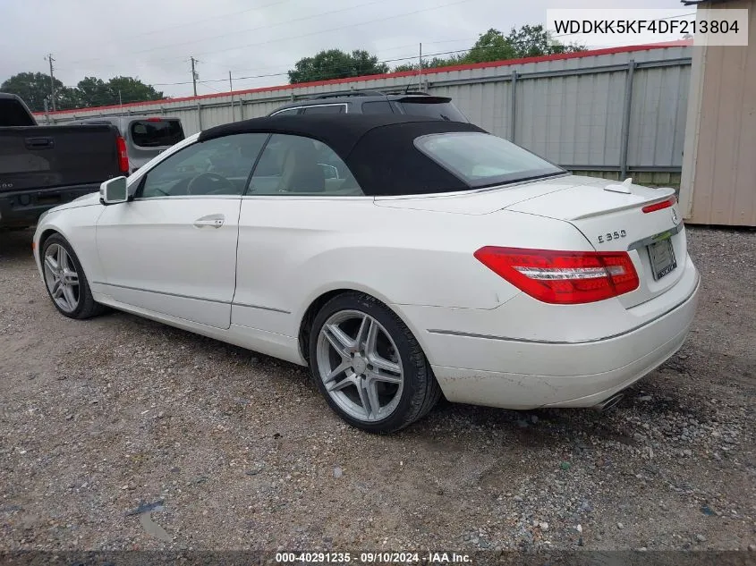 2013 Mercedes-Benz E 350 VIN: WDDKK5KF4DF213804 Lot: 40291235