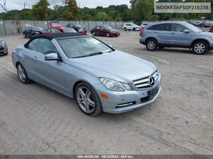 2013 Mercedes-Benz E 350 VIN: WDDKK5KF5DF215335 Lot: 40348198