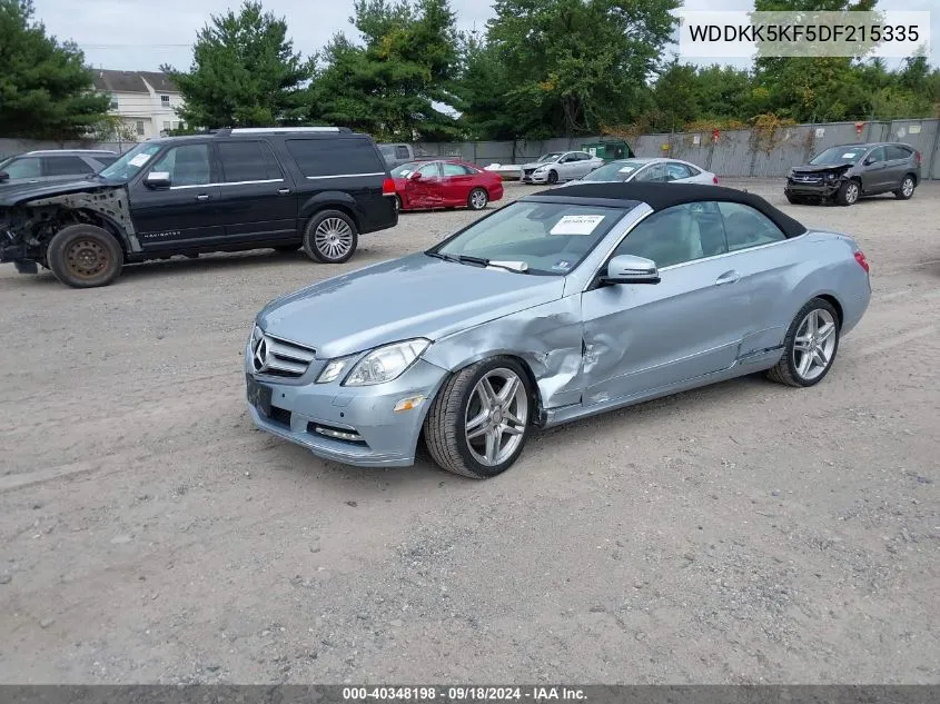 2013 Mercedes-Benz E 350 VIN: WDDKK5KF5DF215335 Lot: 40348198