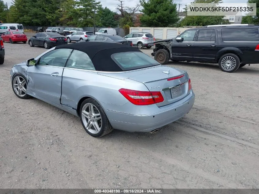 2013 Mercedes-Benz E 350 VIN: WDDKK5KF5DF215335 Lot: 40348198