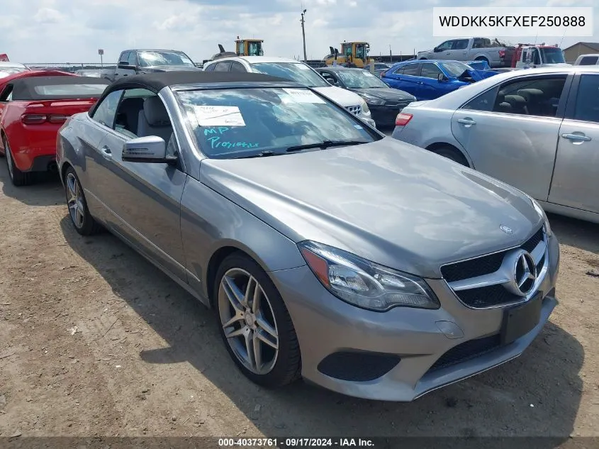 2014 Mercedes-Benz E 350 VIN: WDDKK5KFXEF250888 Lot: 40373761