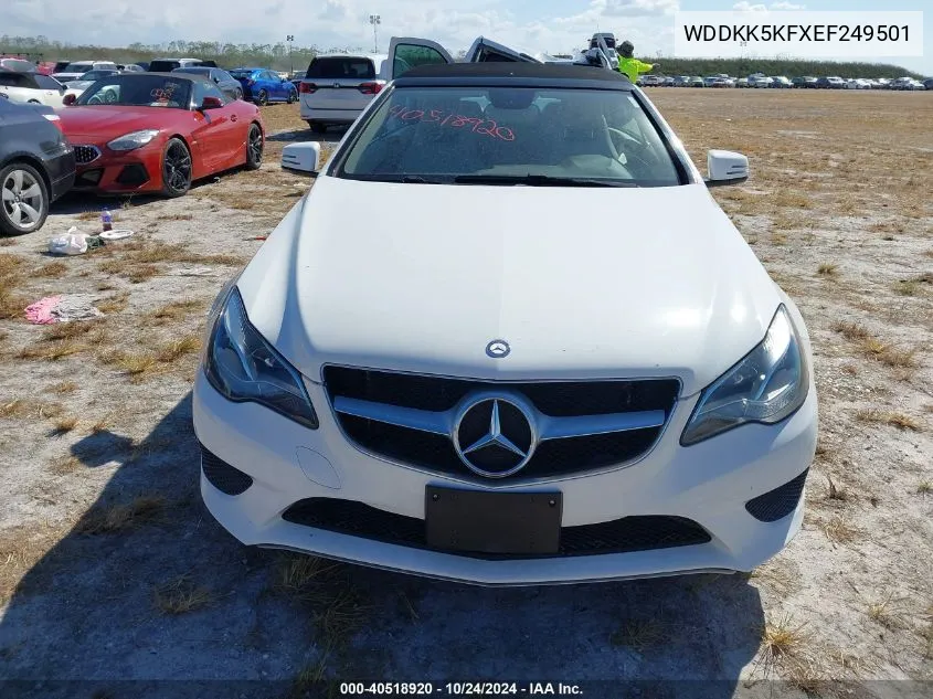 2014 Mercedes-Benz E 350 VIN: WDDKK5KFXEF249501 Lot: 40518920