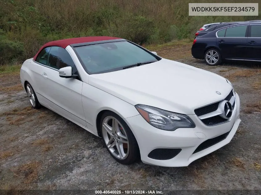 2014 Mercedes-Benz E 350 VIN: WDDKK5KF5EF234579 Lot: 40540025