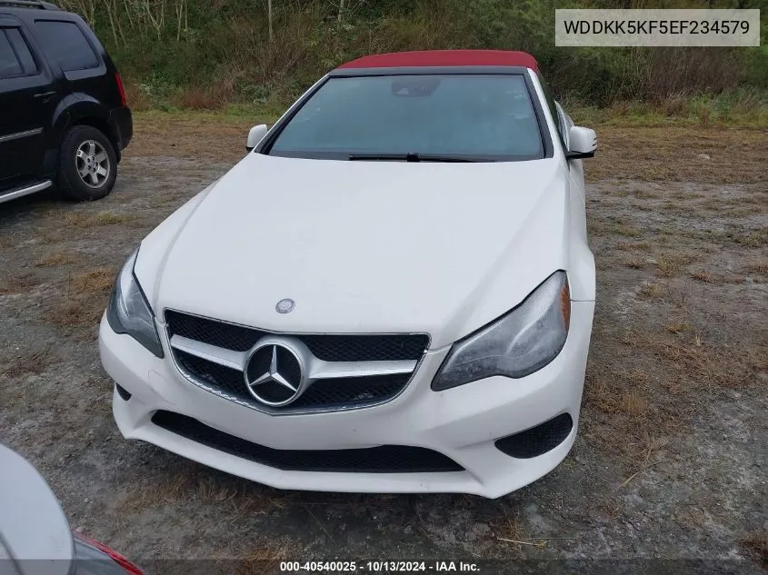 2014 Mercedes-Benz E 350 VIN: WDDKK5KF5EF234579 Lot: 40540025