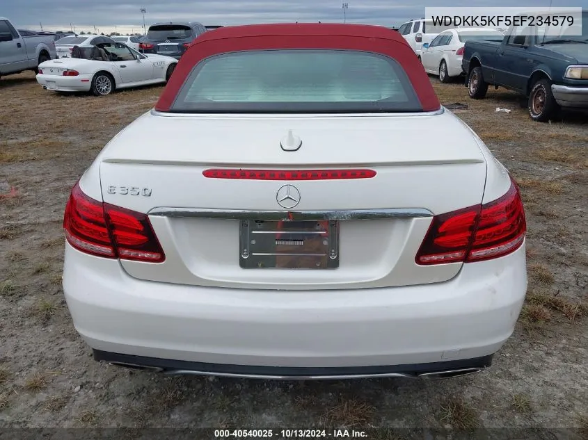 2014 Mercedes-Benz E 350 VIN: WDDKK5KF5EF234579 Lot: 40540025