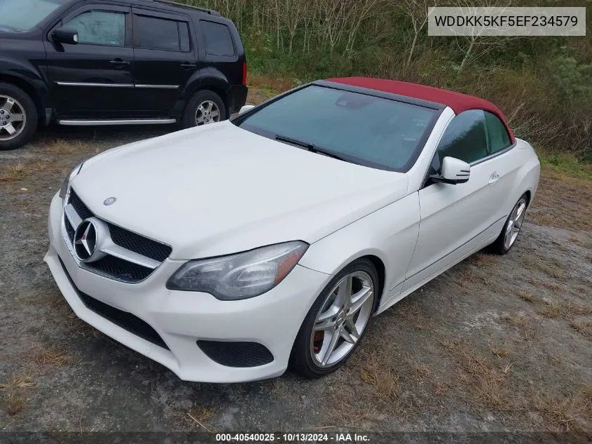 2014 Mercedes-Benz E 350 VIN: WDDKK5KF5EF234579 Lot: 40540025