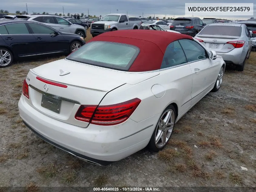 2014 Mercedes-Benz E 350 VIN: WDDKK5KF5EF234579 Lot: 40540025