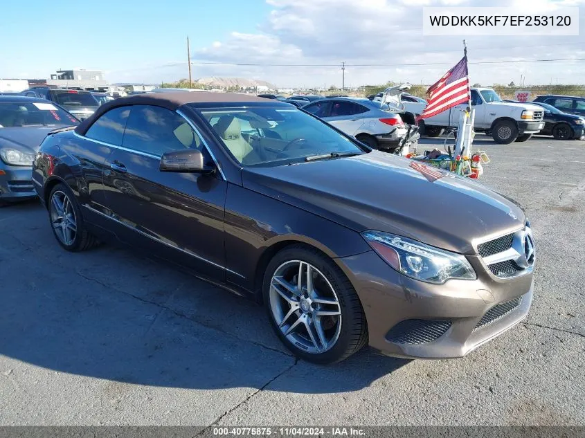 2014 Mercedes-Benz E 350 VIN: WDDKK5KF7EF253120 Lot: 40775875